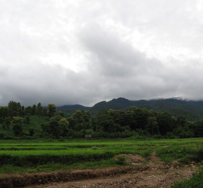 “Na Un Nong” village in Phrae province, located in the northern part of Thailand