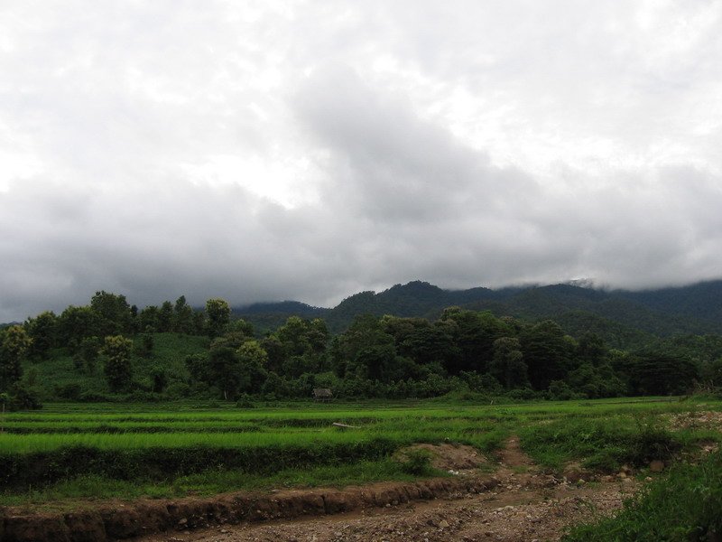 “Na Un Nong” village in Phrae province, located in the northern part of Thailand