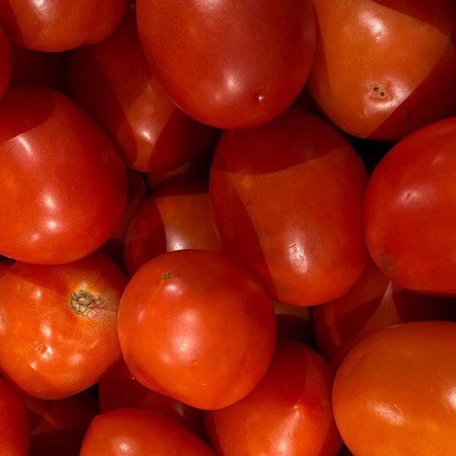 tomatoes_4378-653x720 tomatoes_4378-653x720