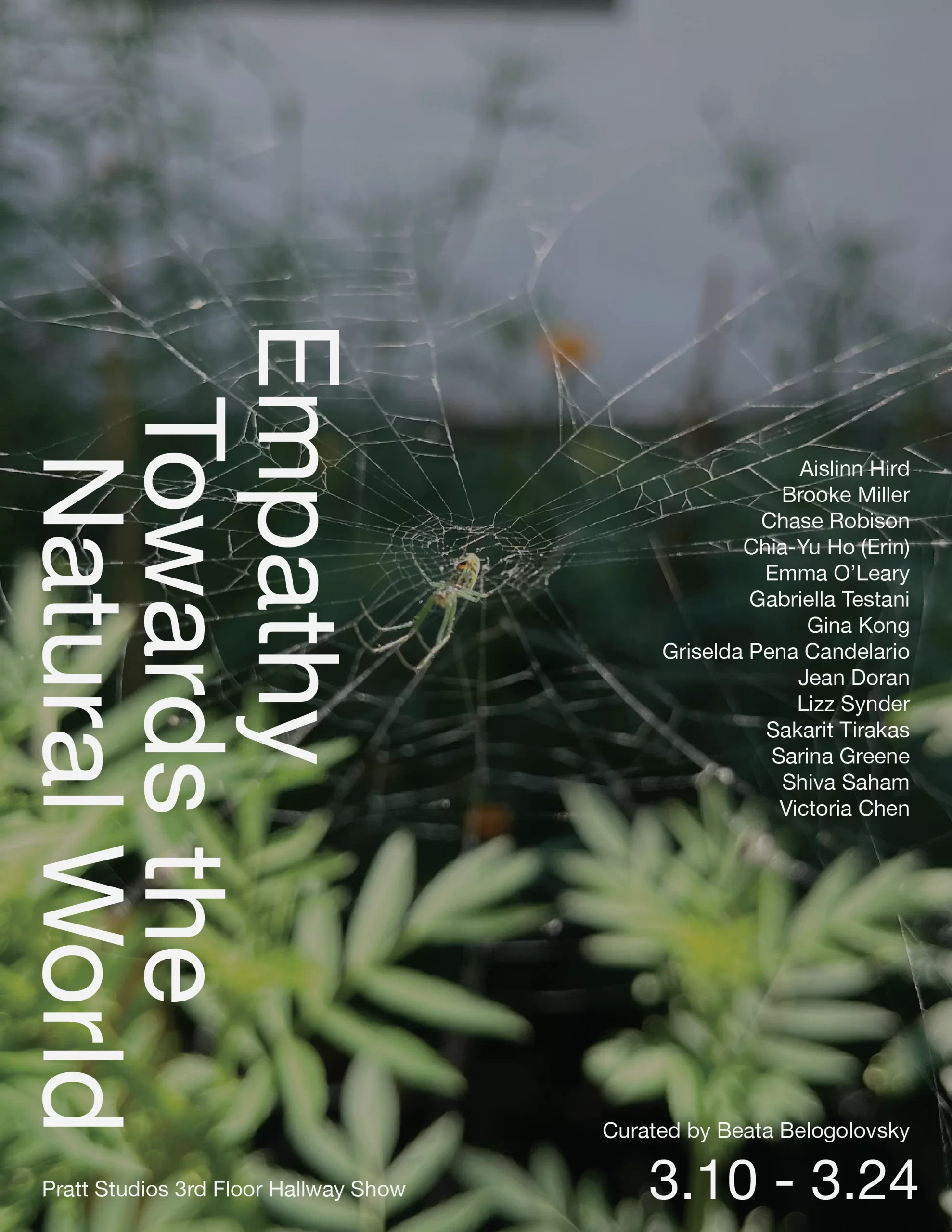 empathy-towards-the-natural-world_01