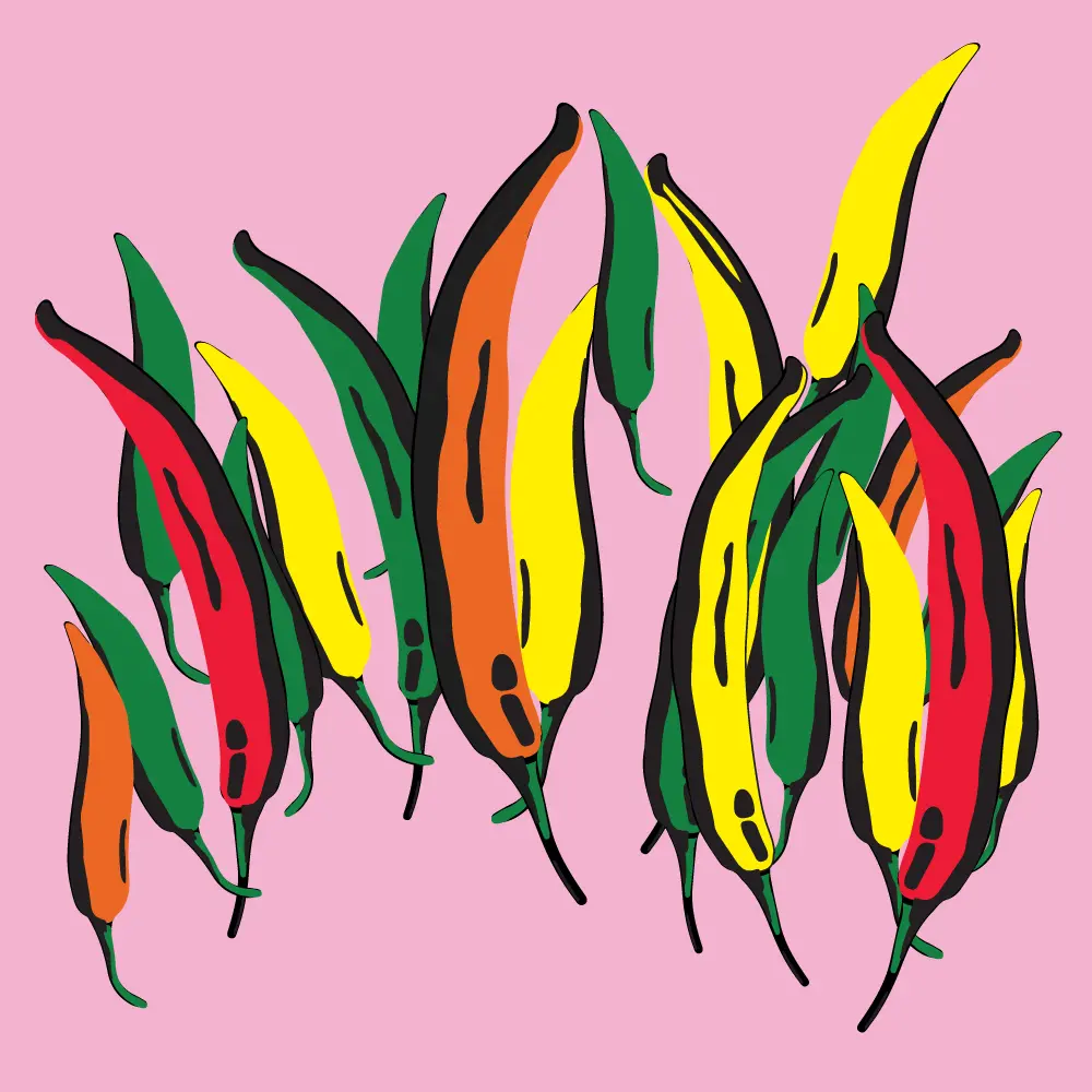 Illustration of colorful chili peppers in red, yellow, orange, and green on a pink background.